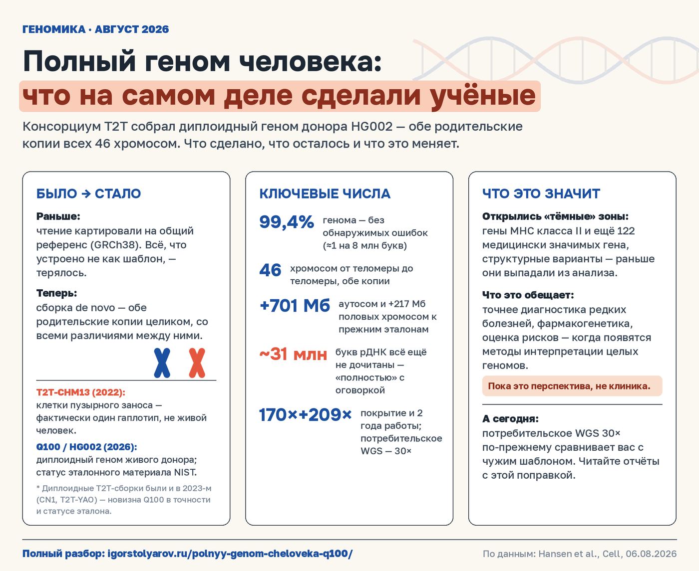 Инфографика: Полный геном человека — что на самом деле сделали учёные. Три колонки: было/стало (референс GRCh38 против сборки de novo обеих родительских копий; CHM13 2022 из пузырного заноса против диплоидного Q100/HG002 2026, эталон NIST; сноска про CN1 и T2T-YAO 2023 года); ключевые числа (99,4% генома без обнаружимых ошибок, 46 хромосом теломера-к-теломере, +701 Мб аутосом и +217 Мб половых хромосом, ~31 млн букв рДНК не дочитаны, покрытие 170×+209× и два года работы против потребительских 30×); что это значит (открылись гены MHC II и 122 медицински значимых гена; обещания диагностики — пока перспектива, не клиника; потребительское WGS всё ещё сравнивает с чужим шаблоном). Внизу ссылка igorstolyarov.ru/polnyy-genom-cheloveka-q100/ и источник Hansen et al., Cell, 06.08.2026.